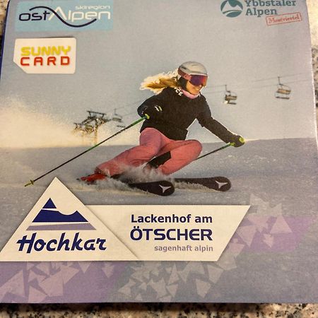 Ferienwohnung Im Nationalpark Gesaeuse Hieflau エクステリア 写真