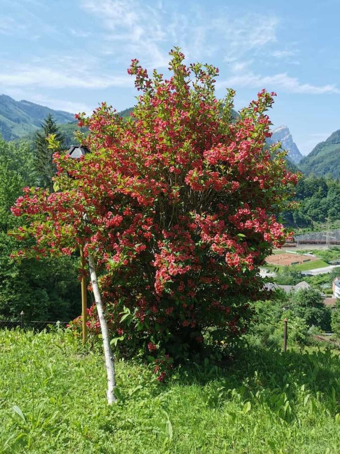Ferienwohnung Im Nationalpark Gesaeuse Hieflau エクステリア 写真
