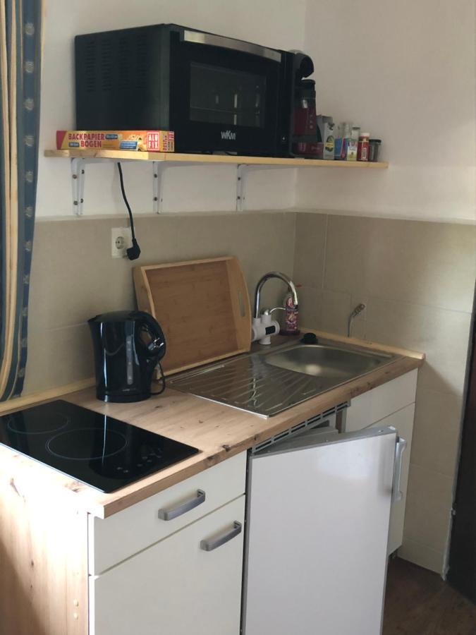 Ferienwohnung Im Nationalpark Gesaeuse Hieflau エクステリア 写真