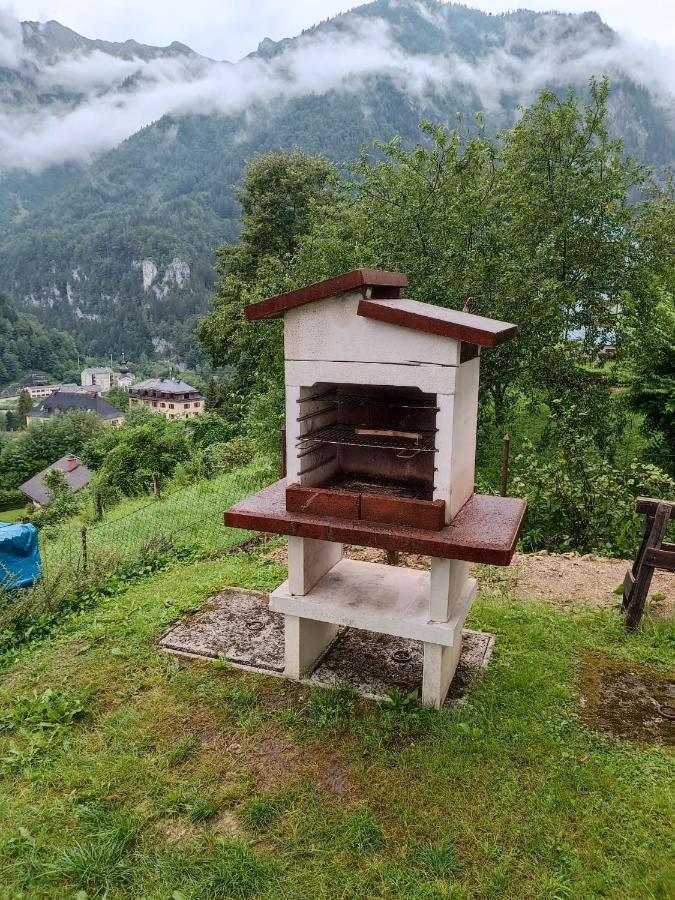 Ferienwohnung Im Nationalpark Gesaeuse Hieflau エクステリア 写真